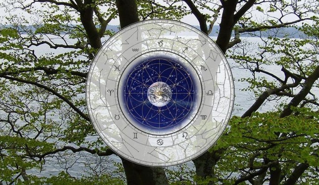 introduction zodiac logo